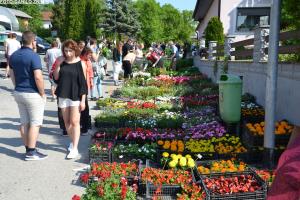 Sejem križani četrtek 10.05.2018 31